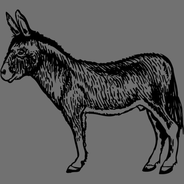 BURRO004 Thumbnail