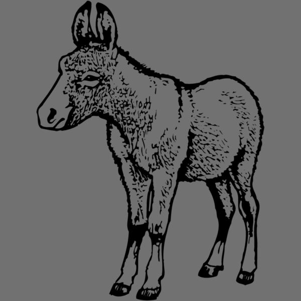 BURRO009 Thumbnail