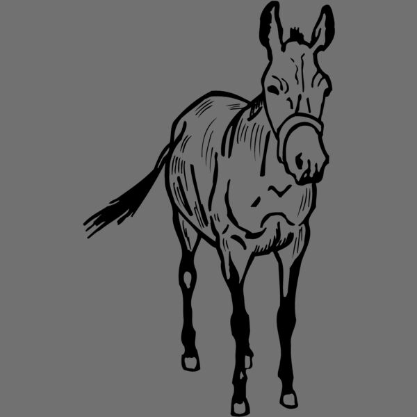 BURRO010 Thumbnail