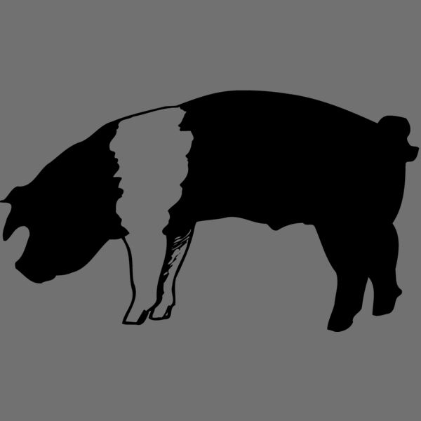 HOG0007 Thumbnail