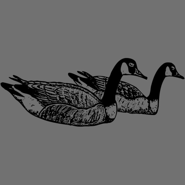 BIRD100 Thumbnail