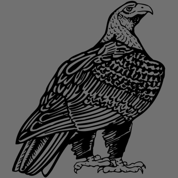EAGLE018 Thumbnail