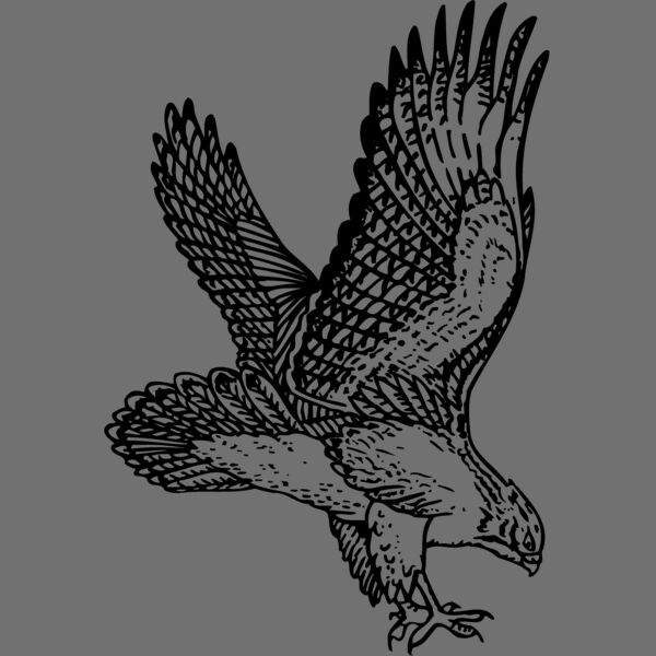 EAGLE026 Thumbnail