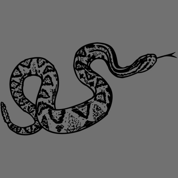 SNAKE011 Thumbnail