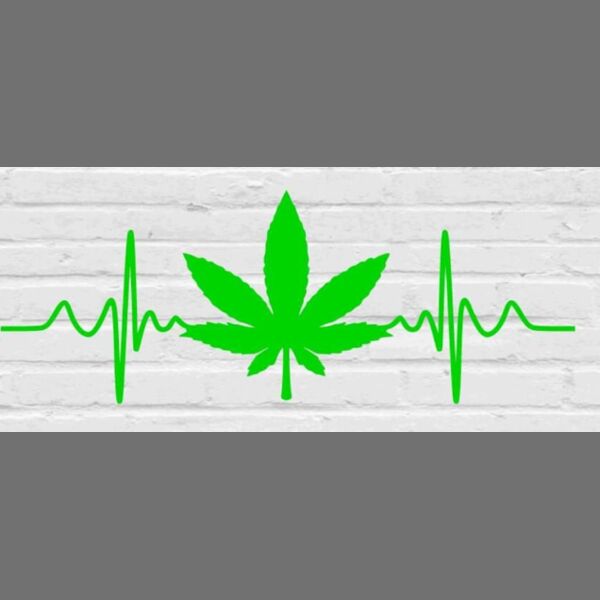 Pot Life Thumbnail