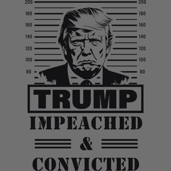 Trump 2024  Felon Trump 10 Thumbnail