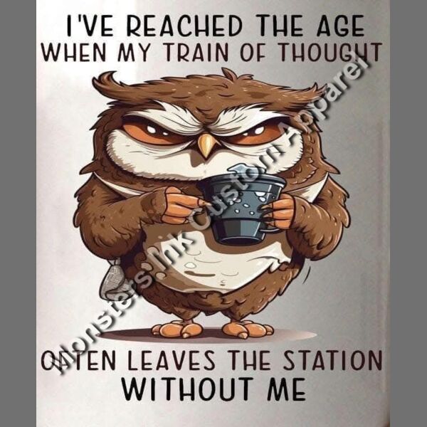 Owl Train leaves the station Thumbnail